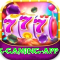 PKR Casino Max Gaming App
